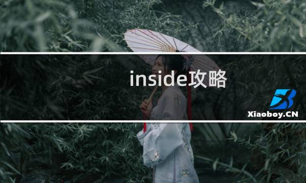 inside攻略 海底