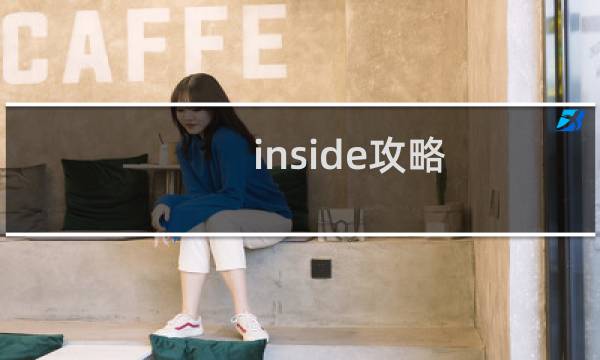inside攻略 车