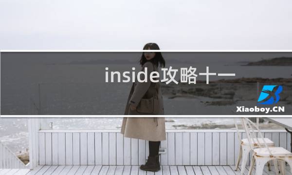 inside攻略十一