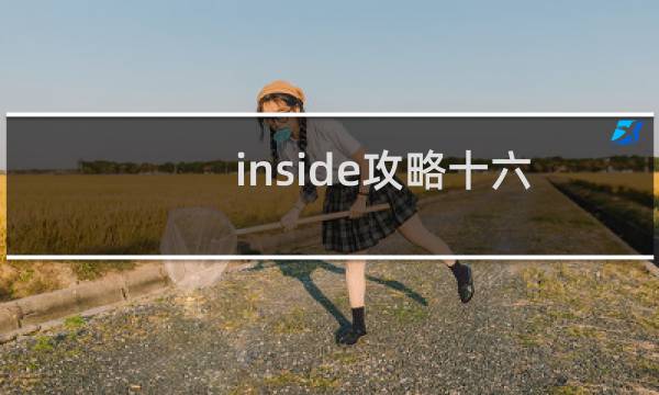 inside攻略十六