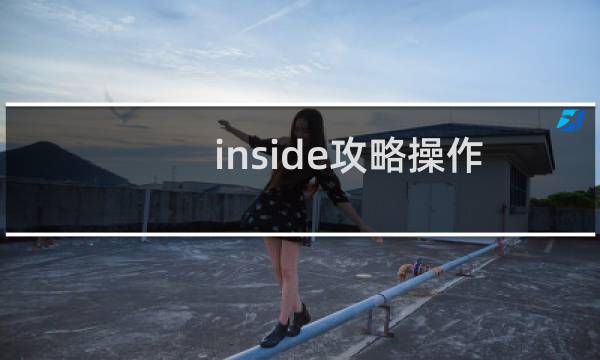inside攻略操作