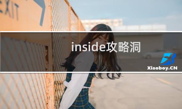 inside攻略洞