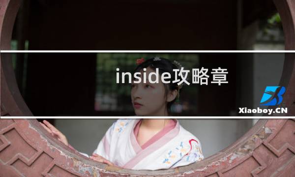 inside攻略章
