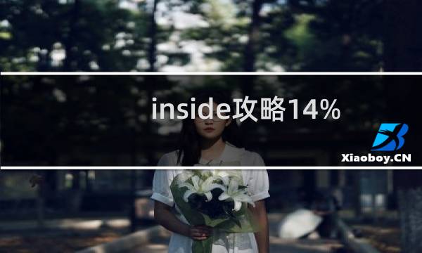 inside攻略14%