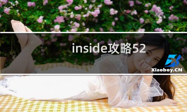 inside攻略52