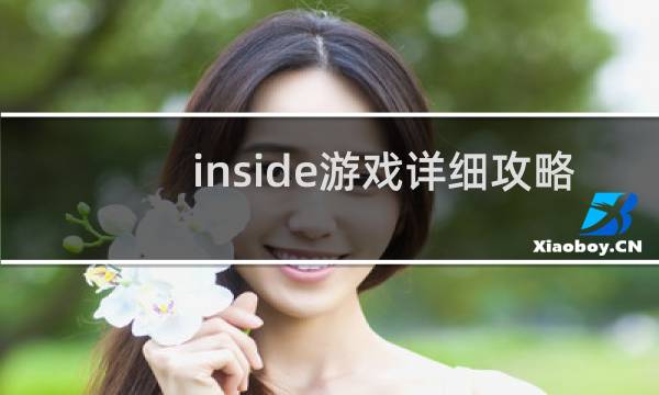 inside游戏详细攻略
