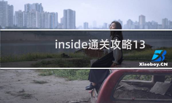 inside通关攻略13