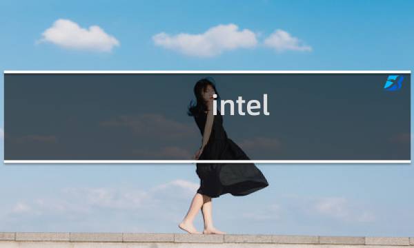 intel 攻略