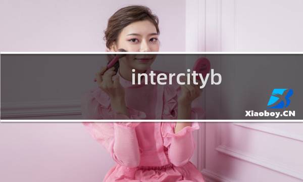 intercitybus.cn域名过户问题