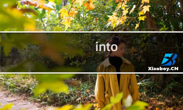 into the dim攻略