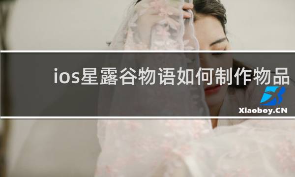 ios星露谷物语如何制作物品
