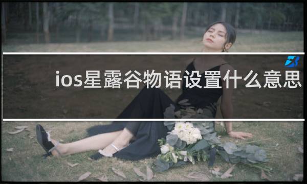 ios星露谷物语设置什么意思