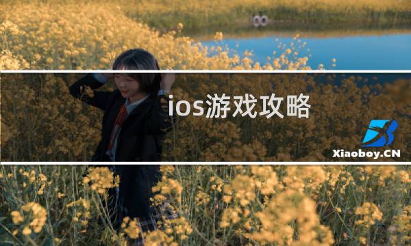 ios游戏攻略