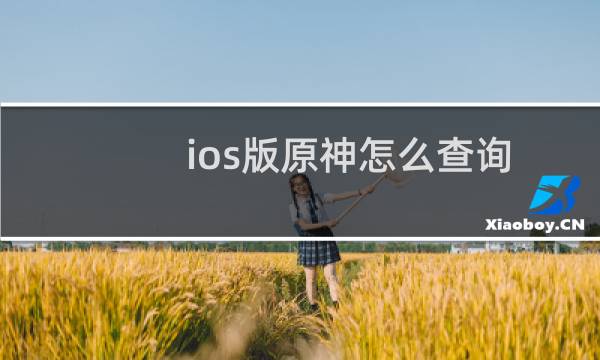 ios版原神怎么查询