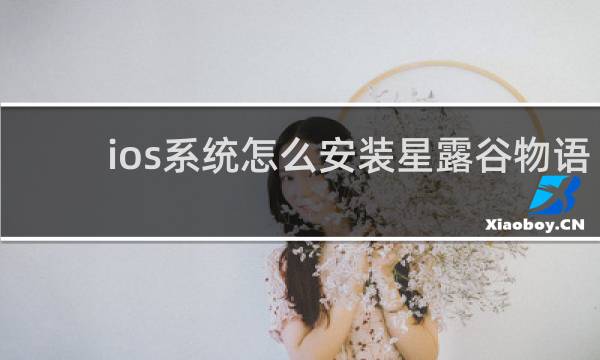 ios系统怎么安装星露谷物语