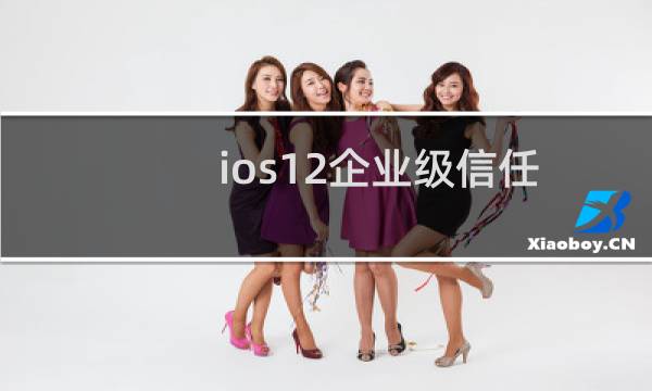 ios12企业级信任在哪（ios12软件在哪里信任）图片