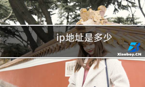 ip地址是多少图片