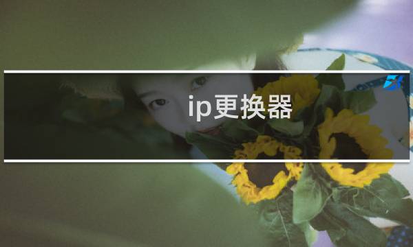 ip更换器