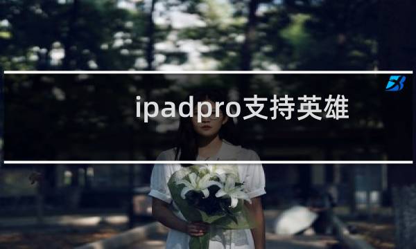 ipadpro支持英雄联盟120吗图片