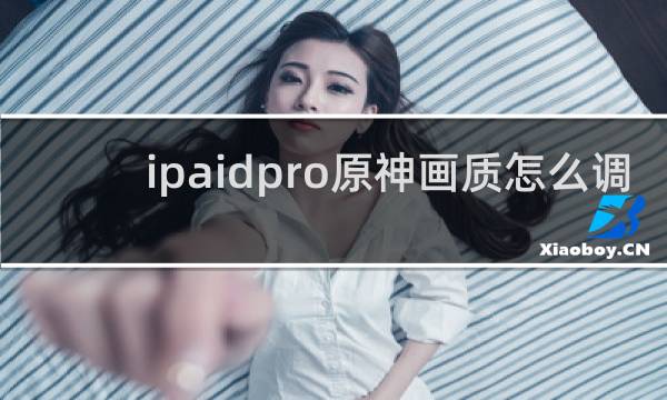 ipaidpro原神画质怎么调