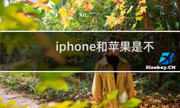 iphone和苹果是不是一样的手机