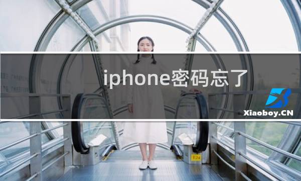 iphone密码忘了怎么办成功解决图文教程