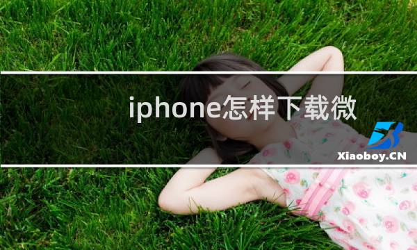 iphone怎样下载微信
