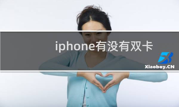 iphone有没有双卡手机