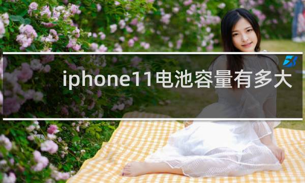 iphone11电池容量有多大