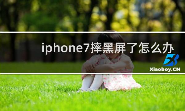 iphone7摔黑屏了怎么办