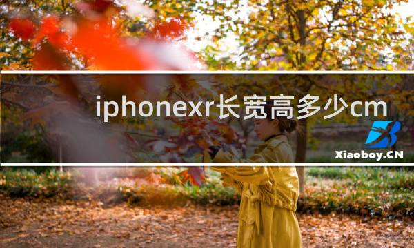 iphonexr长宽高多少cm