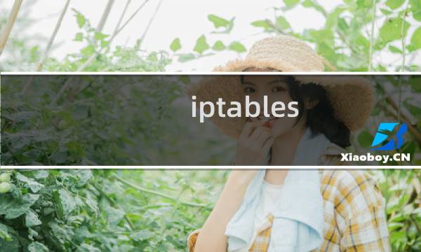 iptables 源码分析