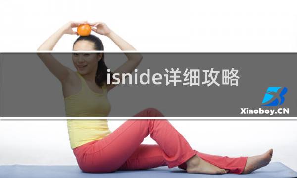 isnide详细攻略