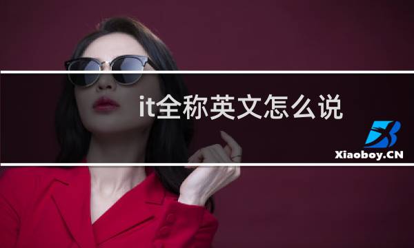 it全称英文怎么说