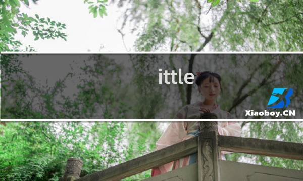 ittle dew 2攻略