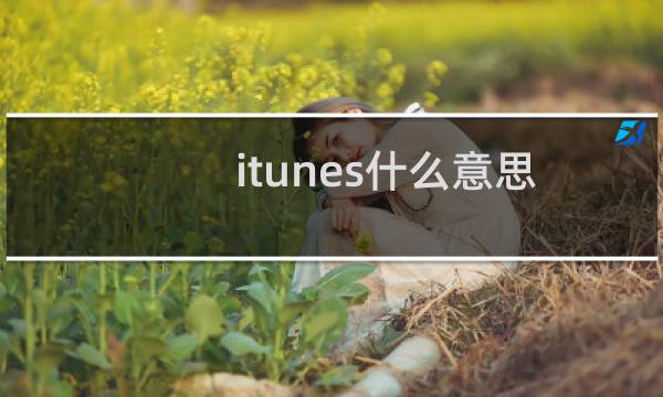 itunes什么意思