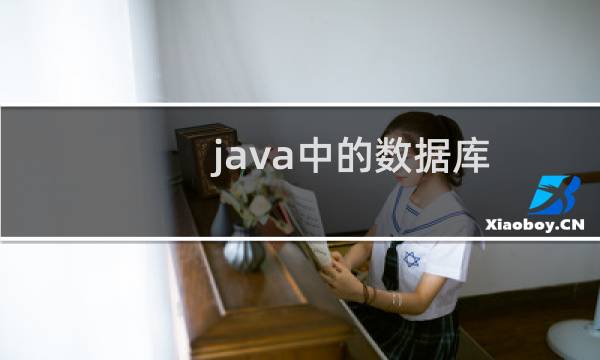 java中的数据库