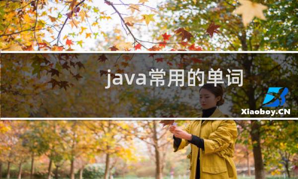 java常用的单词图片