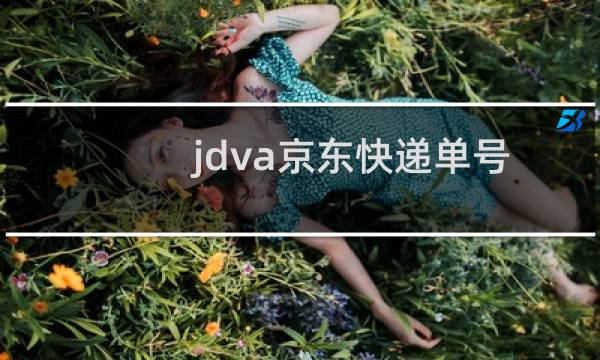 jdva京东快递单号查询（京东物流单号怎么查询物流）图片