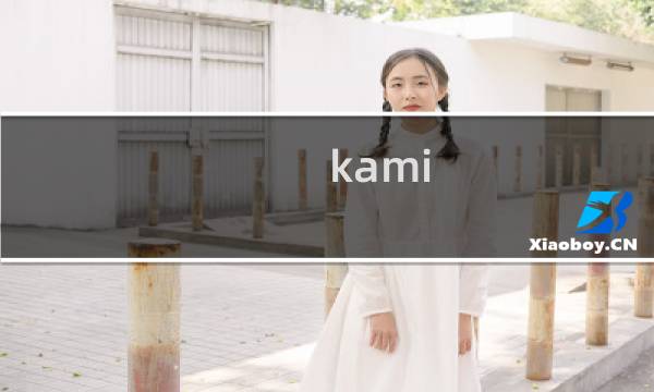 kami 攻略 35