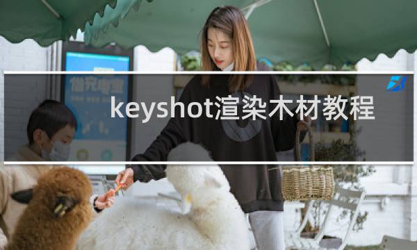 keyshot渲染木材教程