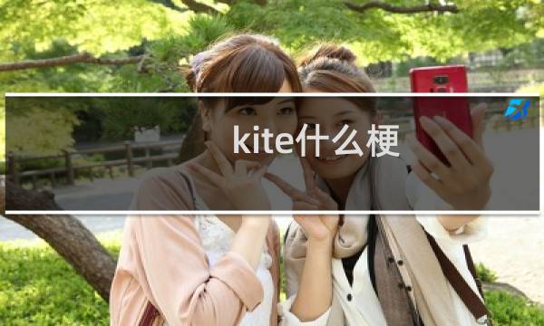 kite什么梗