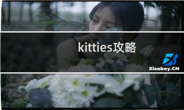 kitties攻略