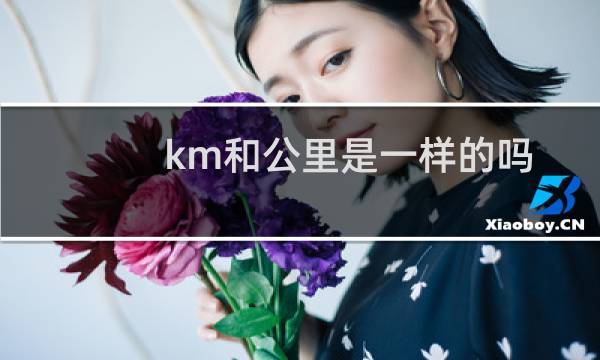 km和公里是一样的吗