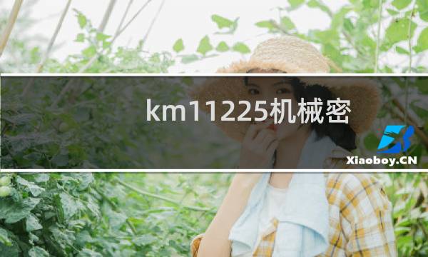 km112-25机械密封