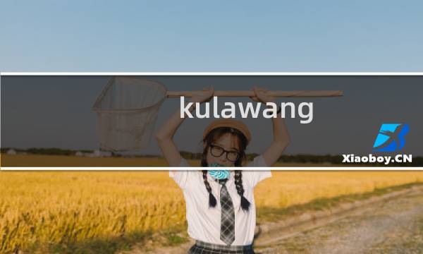 kulawang.com 域名解析记录是否可以帮我导出一下