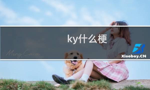 ky什么梗