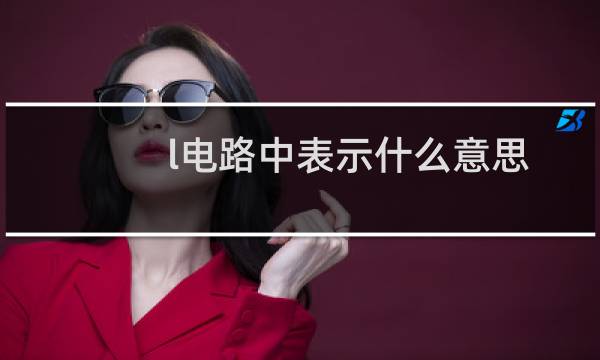 l电路中表示什么意思