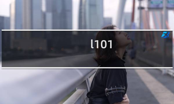 l101图片