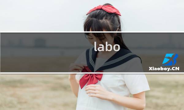 labo 车 攻略